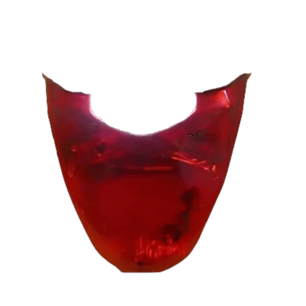 Bajaj Pulsar UG3 Tail Light Assembly Standard