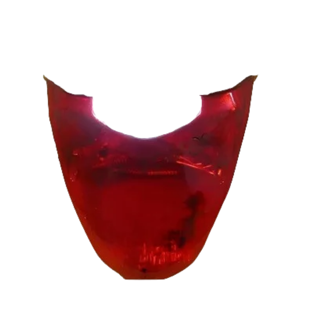 Hero Passion Pro Digital Meter Tail Light Cover Standard